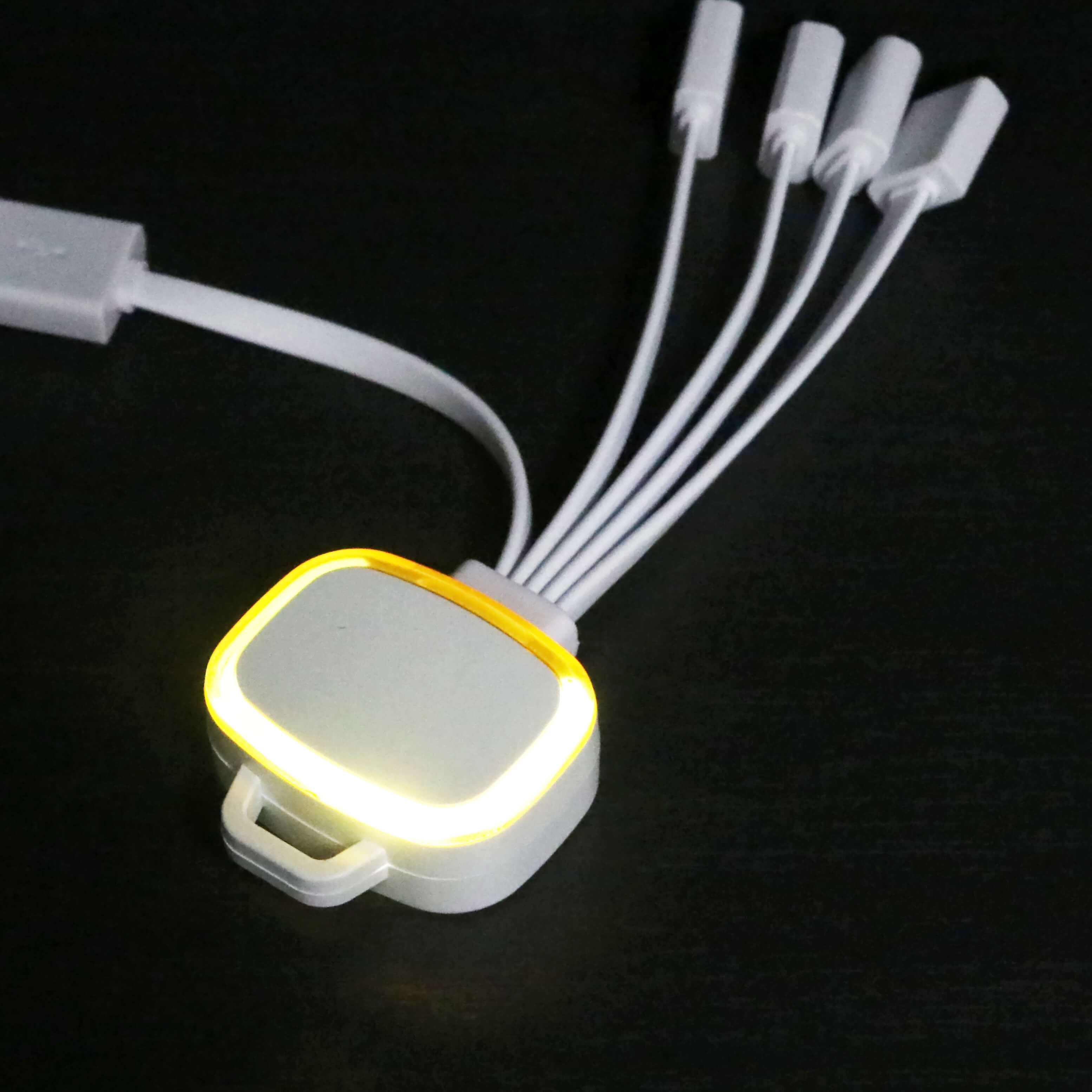 LED Charging Cable with Multiple Connectors